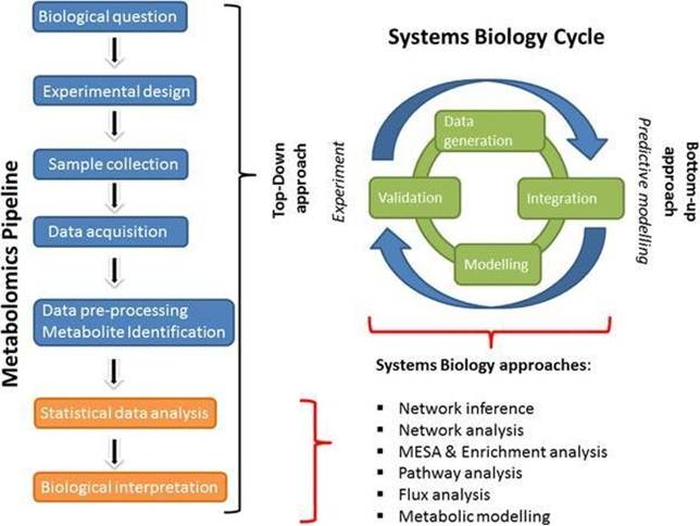 From correlation to causation: analysis of metabolomics data using systems biology approaches | Metabolomics | Springer Nature Link
